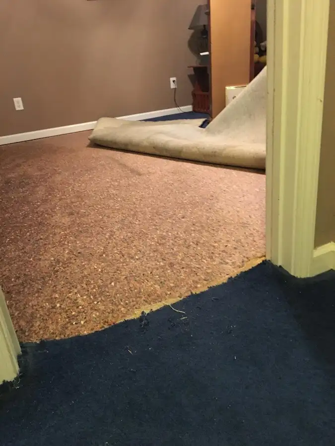 Carpet pad removal revealing water damage during Water Mitigation Services in Vienna