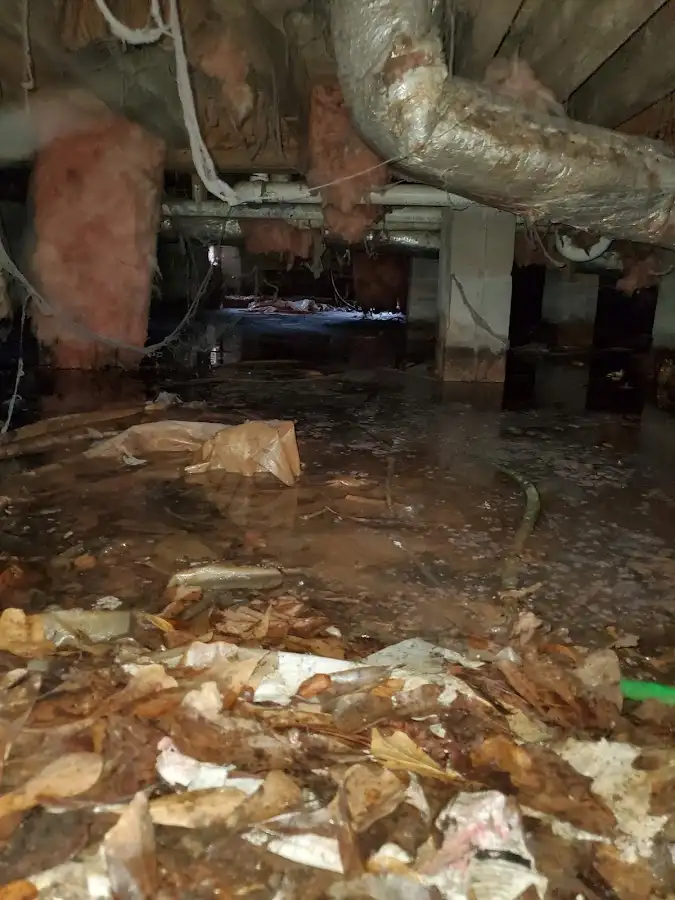 Crawl space flood assessment for Commercial Water Damage Restoration in Vienna
